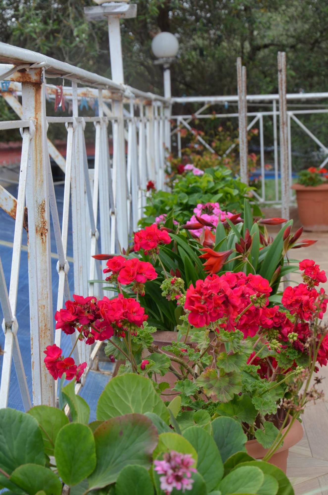 Garden Villa Veli كساميل المظهر الخارجي الصورة